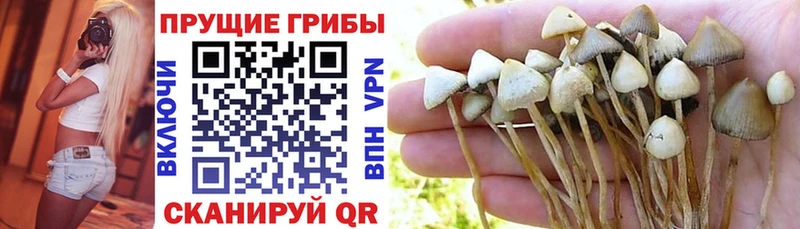 Псилоцибиновые грибы MAGIC MUSHROOMS  как найти закладки  Югорск 